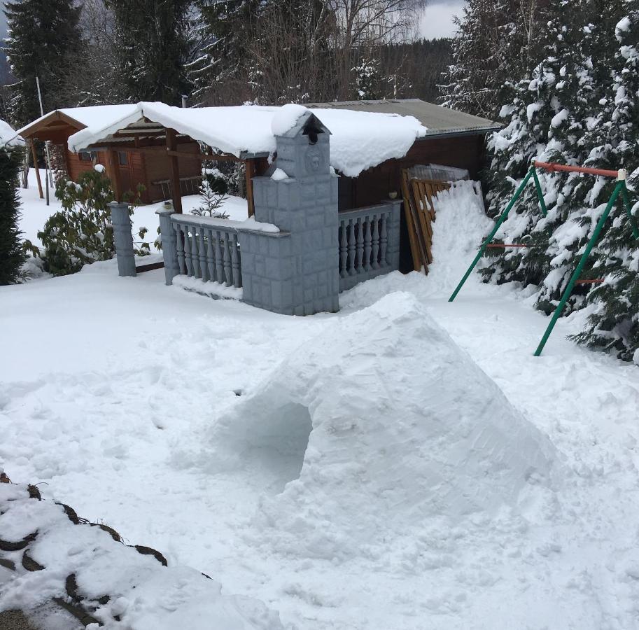 Haus Zeichner 2 Zimmer Ferienwohnung Feldberg  Exterior foto